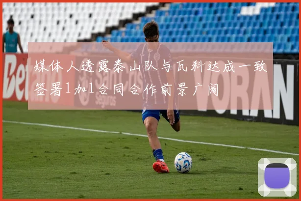 媒体人透露泰山队与瓦科达成一致签署1加1合同合作前景广阔