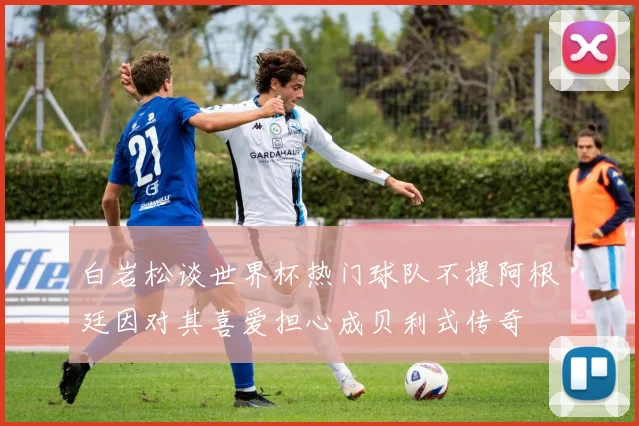 白岩松谈世界杯热门球队不提阿根廷因对其喜爱担心成贝利式传奇